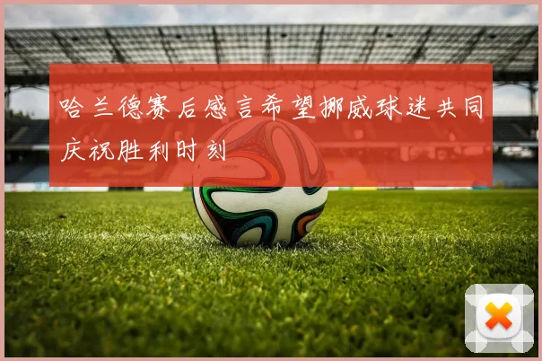 哈兰德赛后感言希望挪威球迷共同庆祝胜利时刻