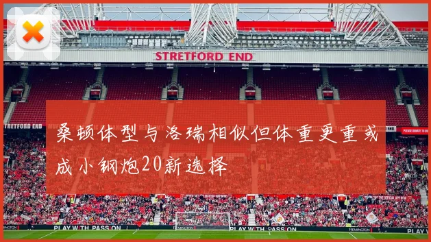 桑顿体型与洛瑞相似但体重更重或成小钢炮20新选择